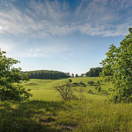 Nengshof Ferienhaus Gaensebluemchen Wißmannsdorf Zewnętrze zdjęcie