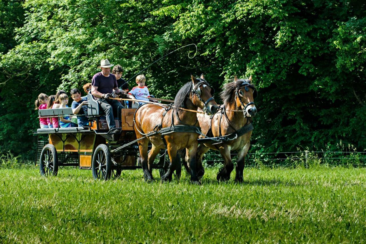 Nengshof Ferienhaus Gaensebluemchen Wißmannsdorf Zewnętrze zdjęcie