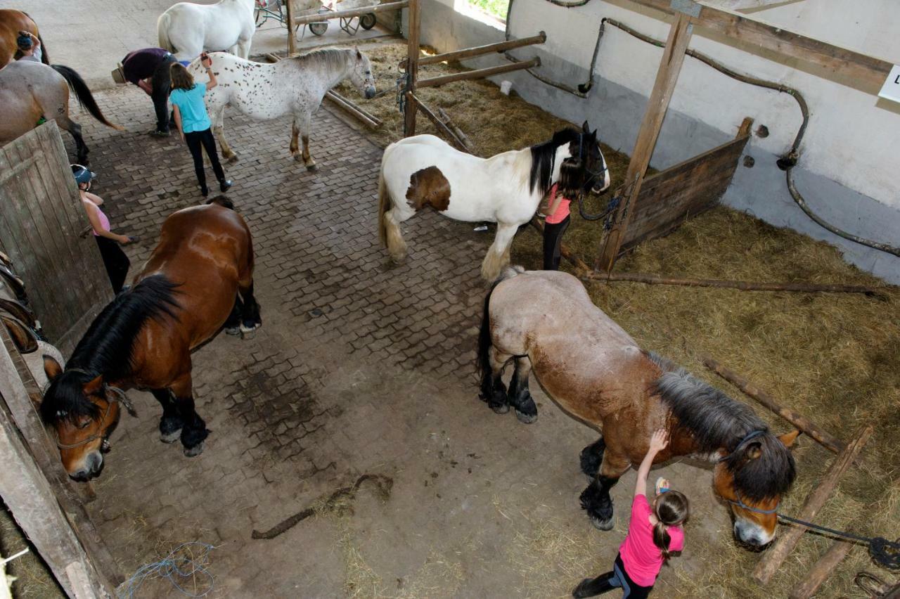 Nengshof Ferienhaus Gaensebluemchen Wißmannsdorf Zewnętrze zdjęcie